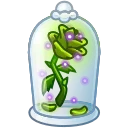 Eternal Rose, модель Jade Bloom