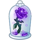 Eternal Rose, модель Midnight Glow