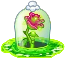 Eternal Rose, модель Quantum