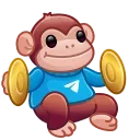 Jolly Chimp, модель Early Adopter