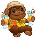 Jolly Chimp, модель Tourist