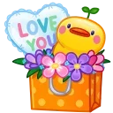 Joyful Bundle, модель Quack Pack