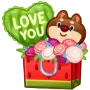 Joyful Bundle, модель Watermelon