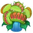 Lush Bouquet, модель Venus Flytrap