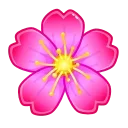 Sakura Flower, модель Aster