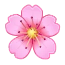Подарок Sakura Flower