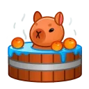Spring Basket, модель Capybara