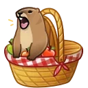 Spring Basket, модель Marmot