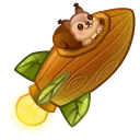 Stellar Rocket, модель Squirrel