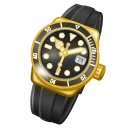 Swiss Watch, модель Galactic Year