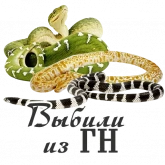 Стикер #12 из набора Авторское