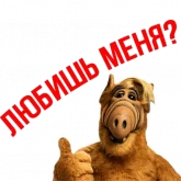 Стикер #9 из набора Альф 3