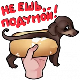Стикер #2 из набора Собачки 🐾 (@stickerssave)
