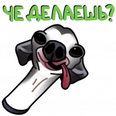 Стикер #3 из набора Собачки 🐾 (@stickerssave)