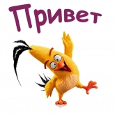 Стикер #9 из набора Злые птицы