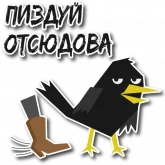 Стикер #11 из набора Дрозд Мерл