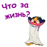 Стикер #4 из набора Попугай Кеша 3