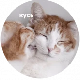 Стикер #11 из набора Кусь