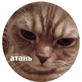 Стикер #9 из набора Кусь
