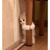 Стикер #9 из набора котики и мы