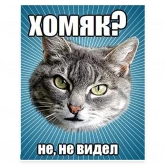 Стикер #12 из набора Мемы с котом