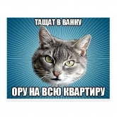 Стикер #10 из набора Мемы с котом