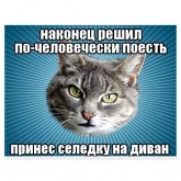Стикер #11 из набора Мемы с котом