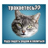Стикер #5 из набора Мемы с котом