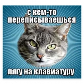 Стикер #9 из набора Мемы с котом