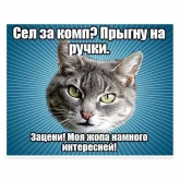 Стикер #3 из набора Мемы с котом