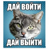 Стикер #4 из набора Мемы с котом