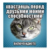 Стикер #6 из набора Мемы с котом