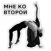 Стикер #6 из набора Спецкурс ШСТ