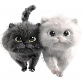 Стикер #11 из набора Парные котейки
