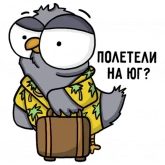 Стикер #2 из набора Воробушек