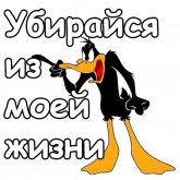 Стикер #4 из набора Даффи Дак :: @animesticks