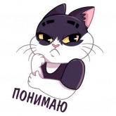 Стикер #2 из набора Кот Дайвинчика