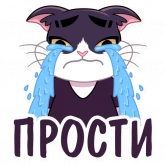 Стикер #10 из набора Кот Дайвинчика