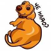 Стикер #12 из набора Такса Рича