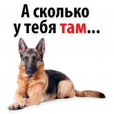 Стикер #12 из набора ? Собачий Слэнг