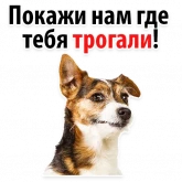 Стикер #11 из набора ? Собачий Слэнг