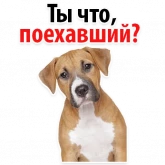 Стикер #3 из набора ? Собачий Слэнг