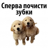 Стикер #6 из набора ? Собачий Слэнг