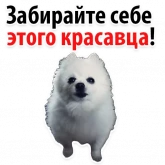 Стикер #8 из набора ? Собачий Слэнг