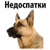 Стикер #4 из набора ? Собачий Слэнг