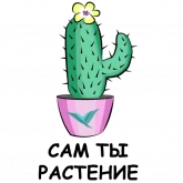Стикер #6 из набора Это кактус