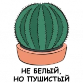 Стикер #5 из набора Это кактус