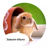 Зверята с грубыми надписями, стикер 5 из набора «Злые животные»