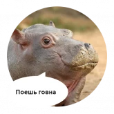 Зверята с грубыми надписями, стикер 4 из набора «Злые животные»