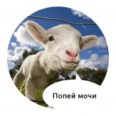 Зверята с грубыми надписями, стикер 12 из набора «Злые животные»